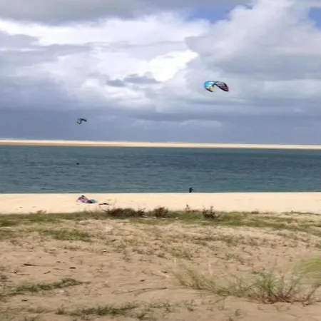 Lush In A Nature Reserve With A Castle Salles (Gironde)